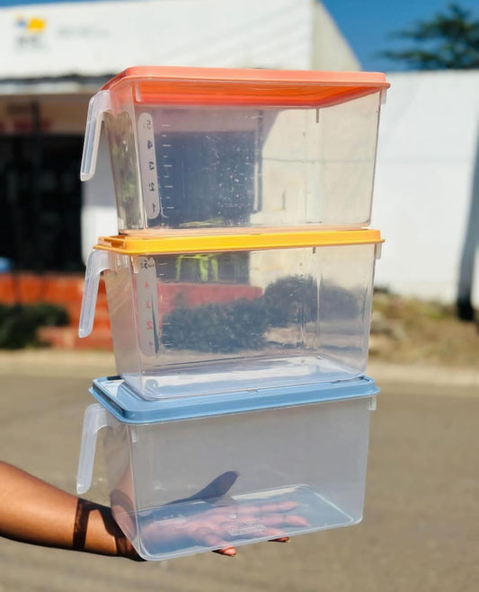 Fridge storage containers with handle