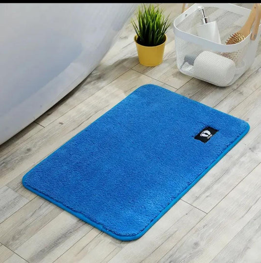 Door floor mat